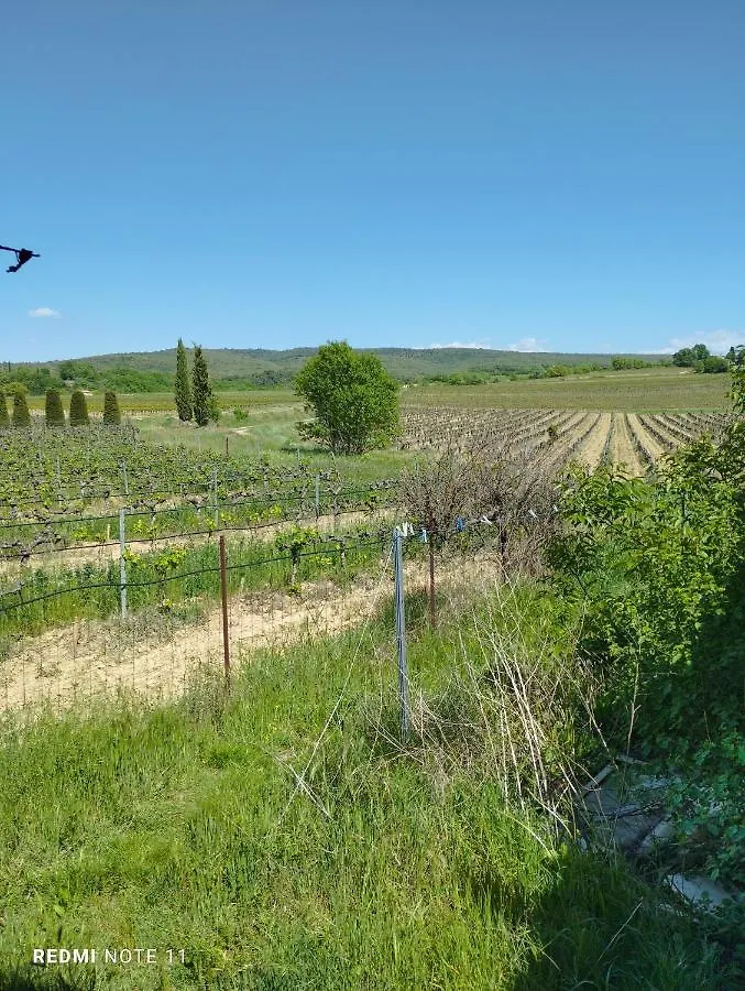 Homestay Chambre D Hotes En Provence, Au Pied Du Luberon, Les Coquelicots La Tour-d'Aigues